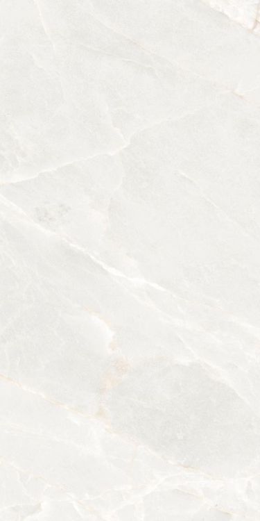 Brasilia White Matte 12 x 24